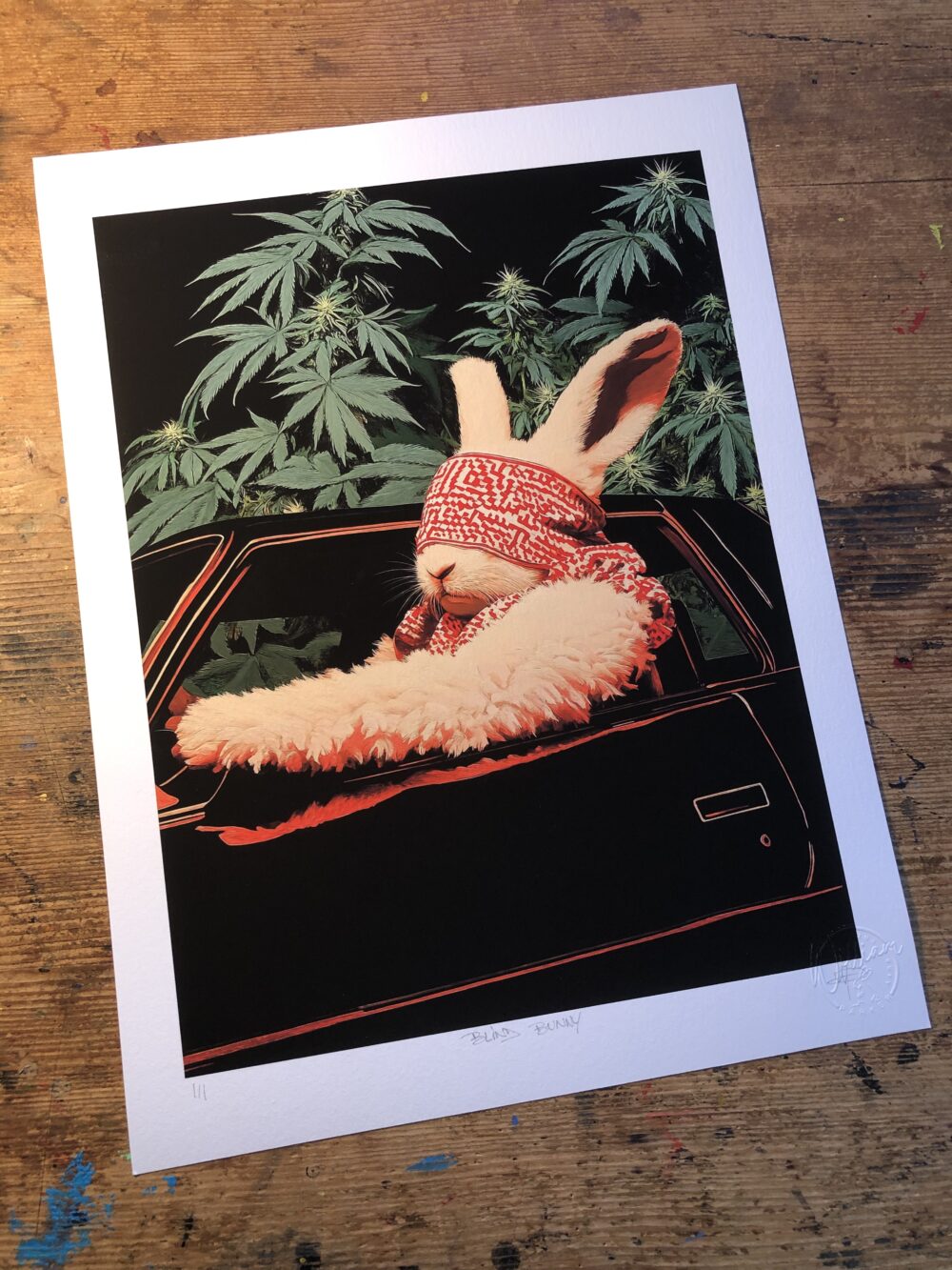 BLIND BUNNY – Image 2