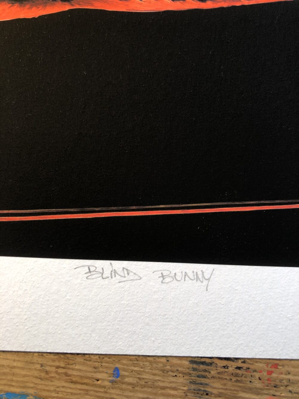 BLIND BUNNY – Image 4